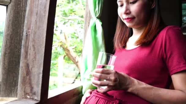 Jonge Zwangere Vrouw Bij Het Raam Drinkwater — Stockvideo