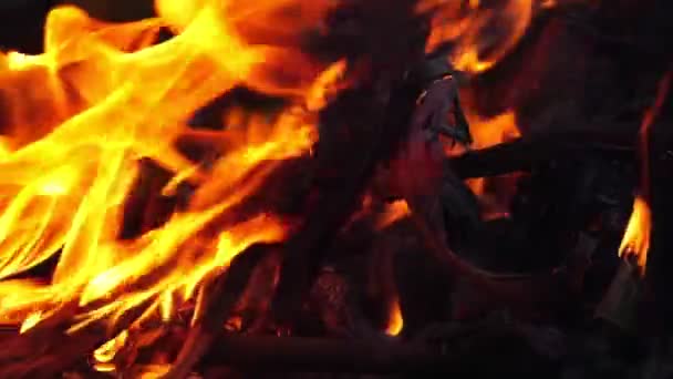 Das Problem Der Waldbrände Die Australien Aufgetreten Sind Stark Footage — Stockvideo