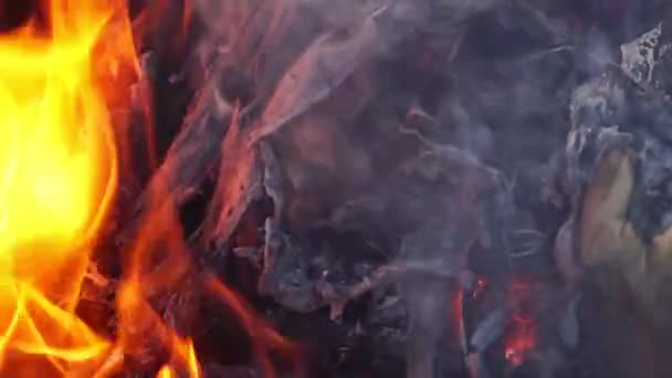 Problème Des Incendies Forêt Qui Sont Produits Australie Images Graves — Video