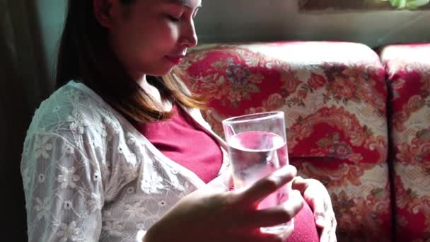 若いです妊娠中の女性座っているソファと飲料水 — ストック動画