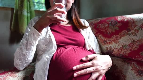 Молодая Беременная Женщина Сидящая Диване Пьющая Воду — стоковое видео