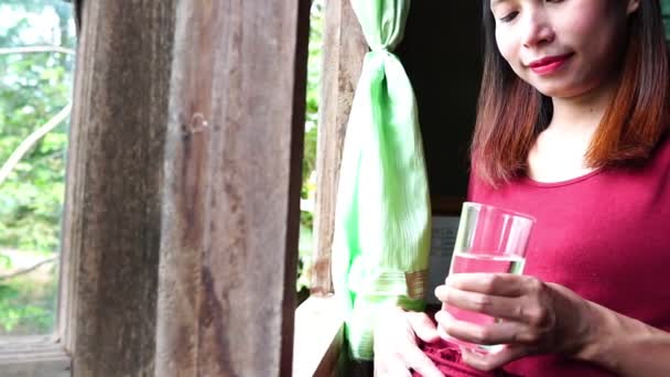 Jeune Femme Enceinte Tenant Près Une Fenêtre Buvant Eau — Video