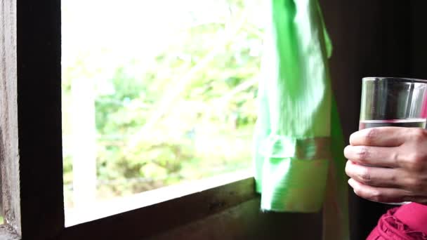 妊娠中の若い女性が窓の近くに立ち飲料水 — ストック動画