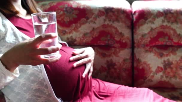 Ung Gravid Kvinna Sitter Soffa Och Dricksvatten — Stockvideo