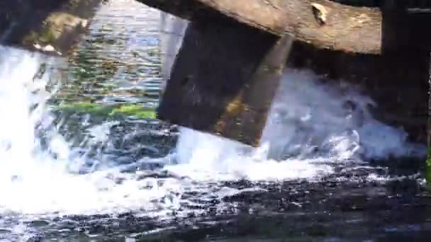 Waterturbine Van Oud Hout Naar Beelden Van Afvalwaterzuivering — Stockvideo