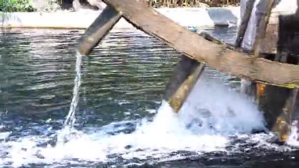 Waterturbine Van Oud Hout Naar Beelden Van Afvalwaterzuivering — Stockvideo