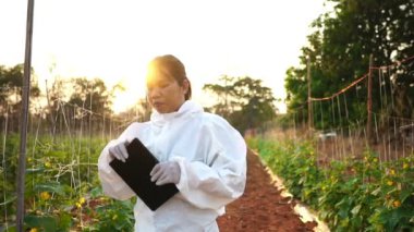 Bilim insanları sebze dönüştürme görüntülerindeki kirleticileri yavaş çekimde inceliyorlar.