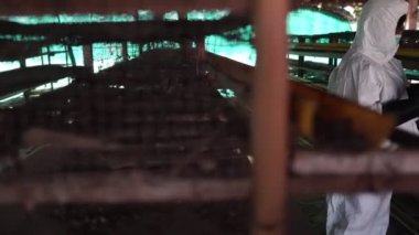 Bilim insanları kimyasal kirliliği tavuk atığı görüntüsü 4k şeklinde izliyorlar.