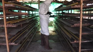 Bilim insanları kimyasal kirliliği tavuk atığı görüntüsü 4k şeklinde izliyorlar.