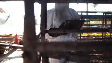 Bilim insanları kimyasal kirliliği tavuk atığı görüntüsü 4k şeklinde izliyorlar.