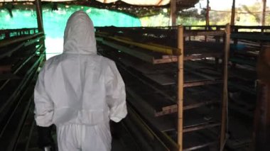 Bilim insanları kimyasal kirliliği tavuk atığı görüntüsü 4k şeklinde izliyorlar.