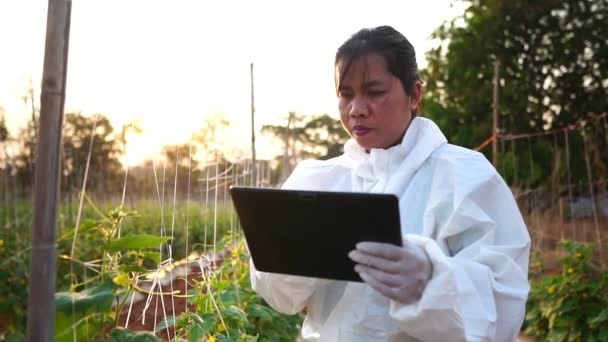 Bilim Insanları Sebze Dönüştürme Görüntülerindeki Kirleticileri Yavaş Çekimde Inceliyorlar — Stok video