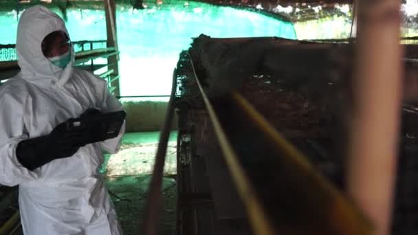 科学者は鶏の廃棄物の映像の形で化学汚染を監視しています4K — ストック動画