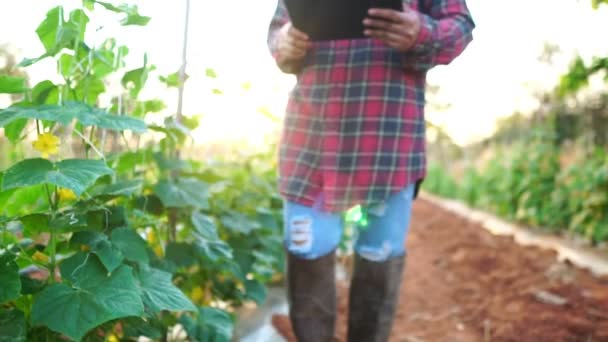 Female Farmers Vegetable Garden Footage Slow Motion — Stockvideo