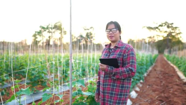 Жінки Фермери Овочевому Саду Кадри Повільний Рух — стокове відео