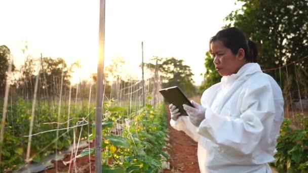 Cientistas Estão Verificando Contaminantes Imagens Conversão Vegetais Câmera Lenta — Vídeo de Stock