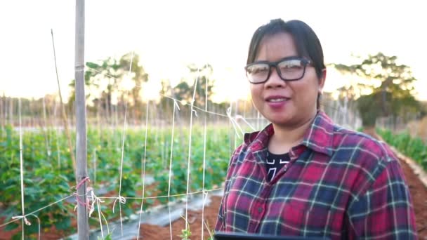 Female Farmers Vegetable Garden Footage Slow Motion — Stockvideo