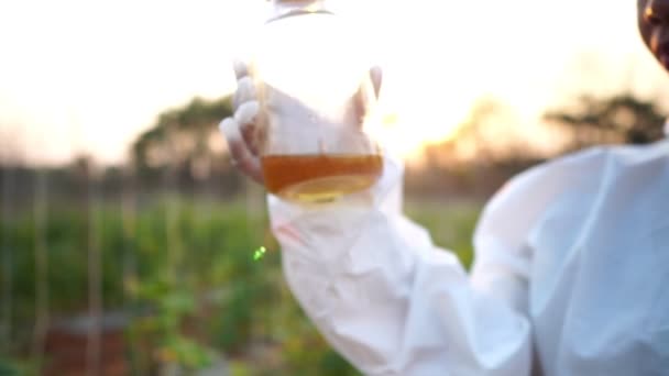 Вчені Перевіряють Наявність Забруднень Фотографіях Перетворення Овочів — стокове відео