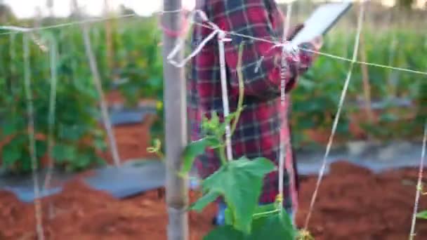 Boeren Vrouwen Gebruiken Een Tablet Computer Een Moestuin Beeldmateriaal — Stockvideo