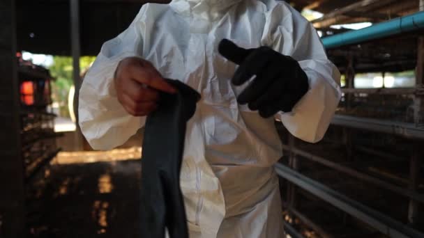 Επιστήμονες Παρακολουθούν Χημική Μόλυνση Μορφή Των Αποβλήτων Κοτόπουλου Πλάνα Αργή — Αρχείο Βίντεο
