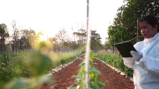 Scientists Checking Contaminants Vegetable Conversion Footage Slow Motion — Stockvideo