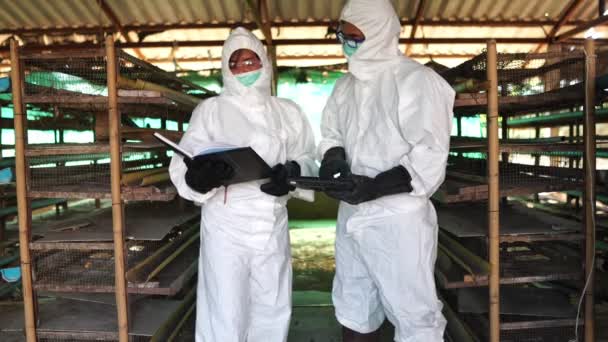 Επιστήμονες Παρακολουθούν Χημική Μόλυνση Μορφή Απορριμμάτων Κοτόπουλου — Αρχείο Βίντεο