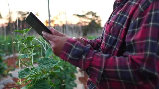 Bäuerinnen Verwenden Tablet Computer Auf Gemüsegarten Filmmaterial — Stockvideo