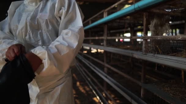 Los Científicos Están Monitoreando Contaminación Química Forma Imágenes Desechos Pollo — Vídeo de stock