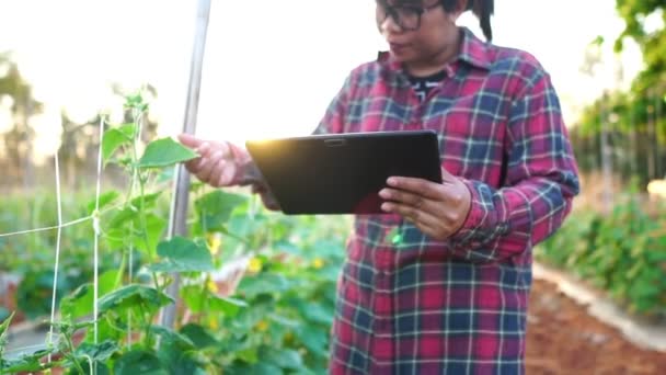 Les Agricultrices Dans Jardin Potager Ralenti — Video