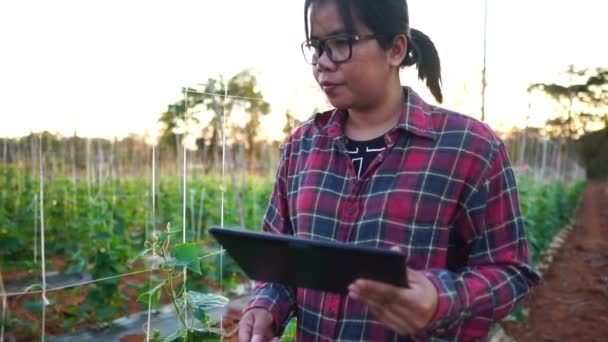 Vrouwelijke Boeren Moestuin Beelden Slow Motion — Stockvideo