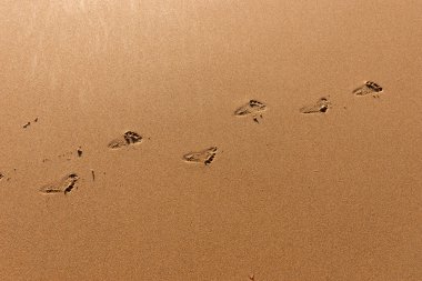 Çocuk kum plajındaki ayak