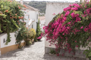 Obidos çiçeklerle sokak