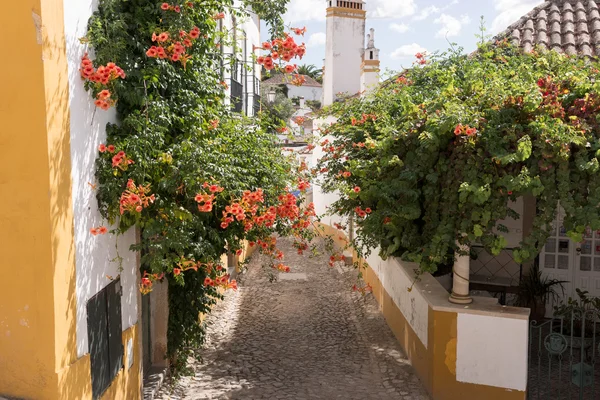 Calle con flores en Obidos — Foto de Stock