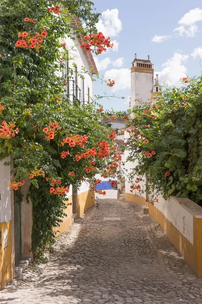Calle con flores en Obidos — Foto de Stock