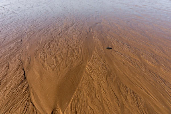 Texturas onduladas en la arena al atardecer — Foto de Stock
