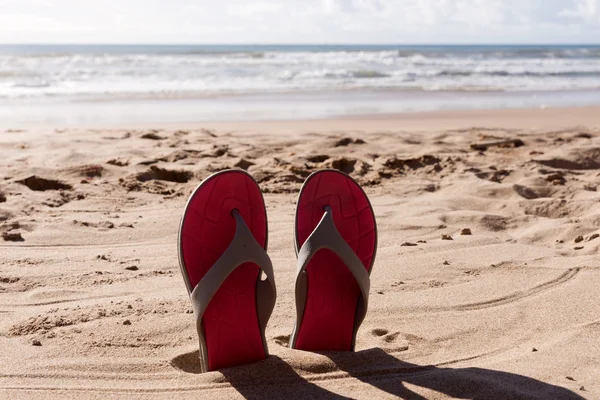 Par chinelos na areia de uma praia — Fotografia de Stock