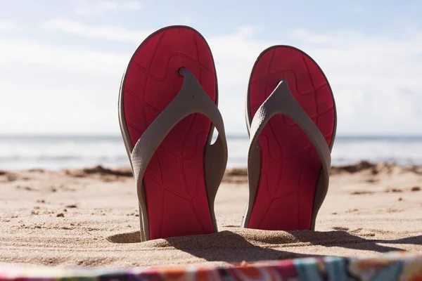 Par chinelos na areia de uma praia — Fotografia de Stock