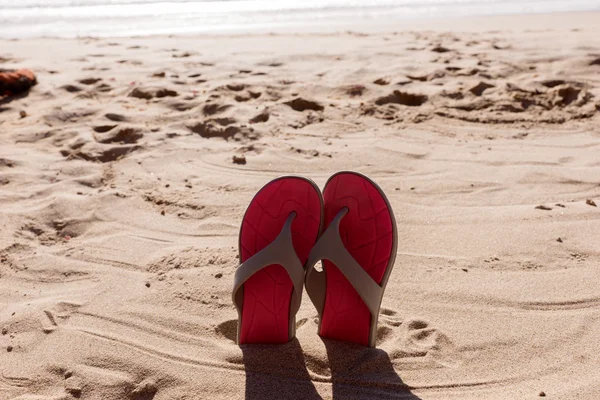 Pair flip flops in the sand of a beach — Stock Photo, Image