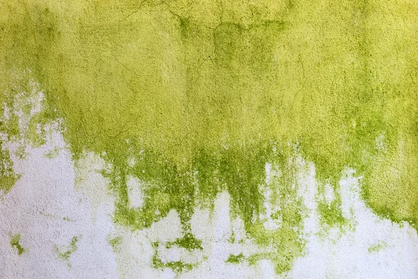 Абстрактный зеленый и белый фон цементной стены — стоковое фото