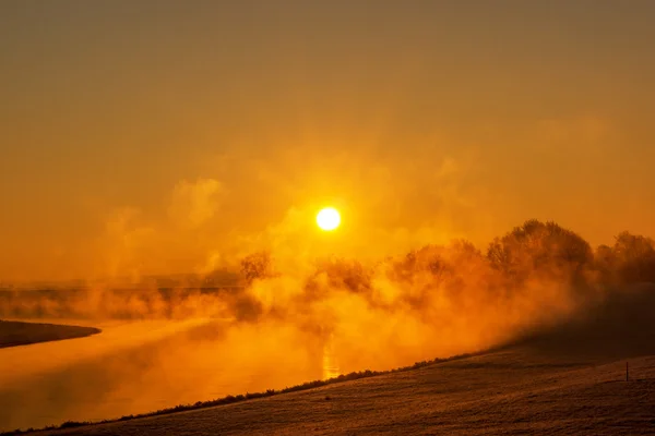 Brouillard à la rivière Elbe près de Torgau pendant un lever de soleil hivernal — Photo