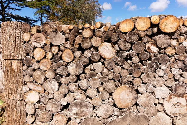 Stump stack background or texture — Stock Photo, Image