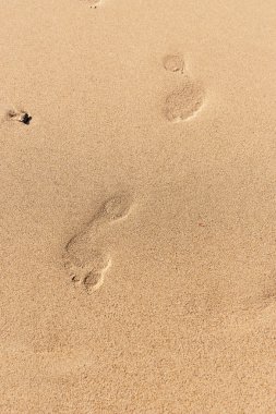 Doku arka plan ayak üzerinde kum plaj