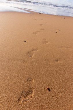 Doku arka plan ayak üzerinde kum plaj