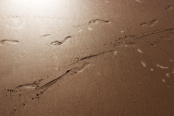Следы на песчаном пляже на фоне заката — стоковое фото