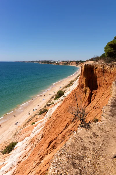 Playa de Praia da Falesia en Algarve — Foto de Stock
