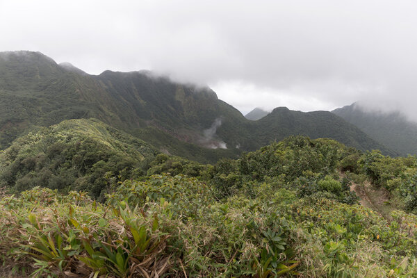 Cloudy day in the rain forest of Dominica