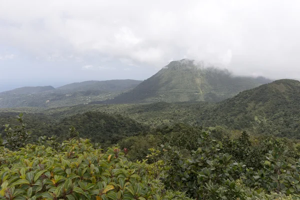 Giornata nuvolosa nella foresta pluviale della Dominica — Foto Stock