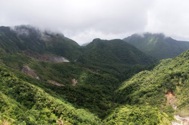 Dominika yağmur ormanı bulutlu gün