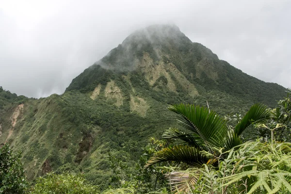 Giornata nuvolosa nella foresta pluviale della Dominica — Foto Stock