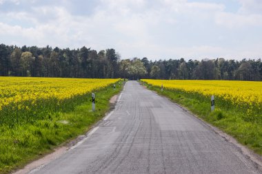 Tecavüz alanları arasındaki alan yolu